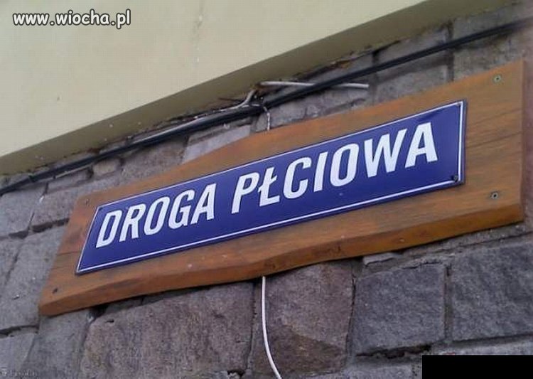 Damska, męska i nijaka