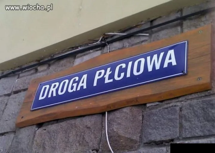 Damska, męska i nijaka