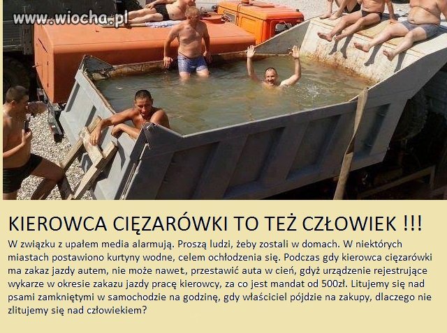 Litujemy się nad psem?