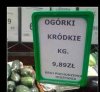Ogórki Kró[d]kie takie tylko 