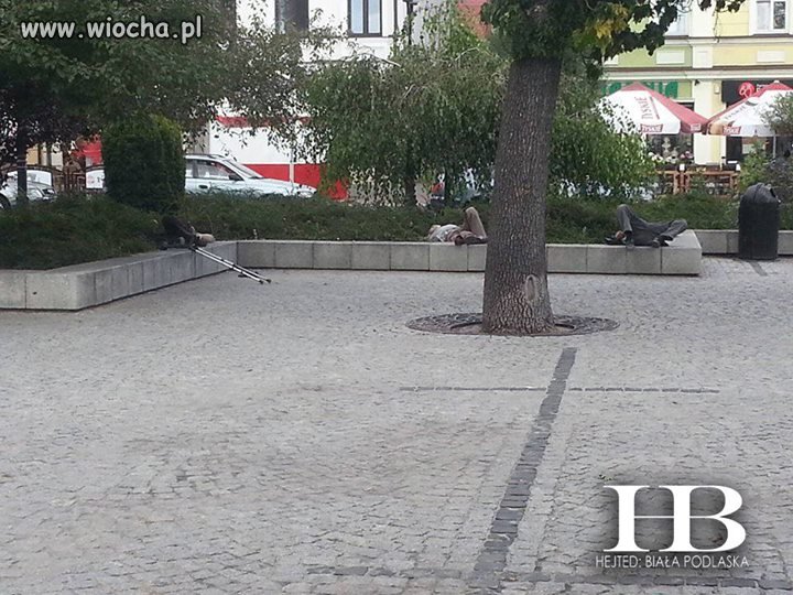 Lato w mieście