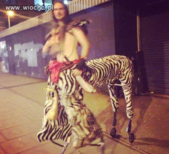 Centaur - wersja zebra