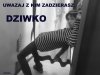 No tak... taką focię znalazłam na fejsbuczku
