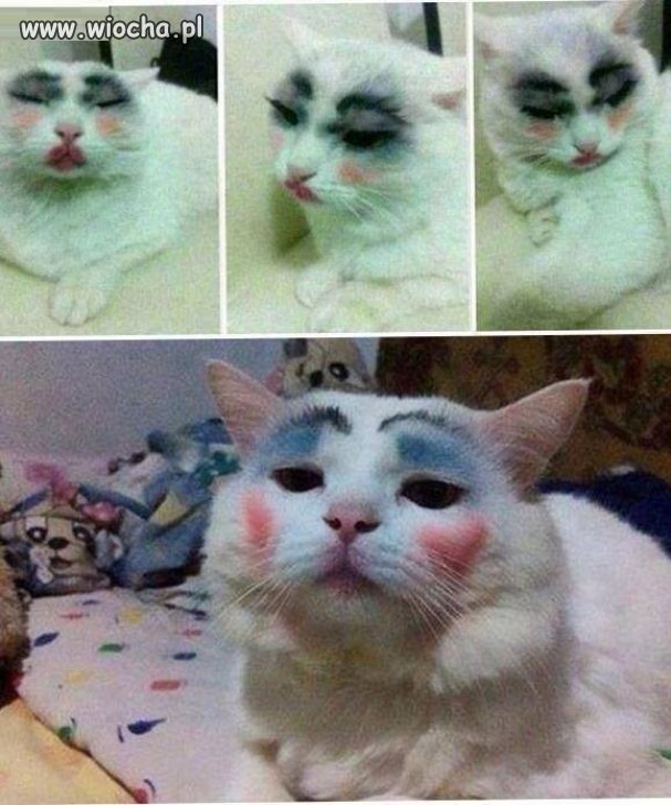 Kiss me!
