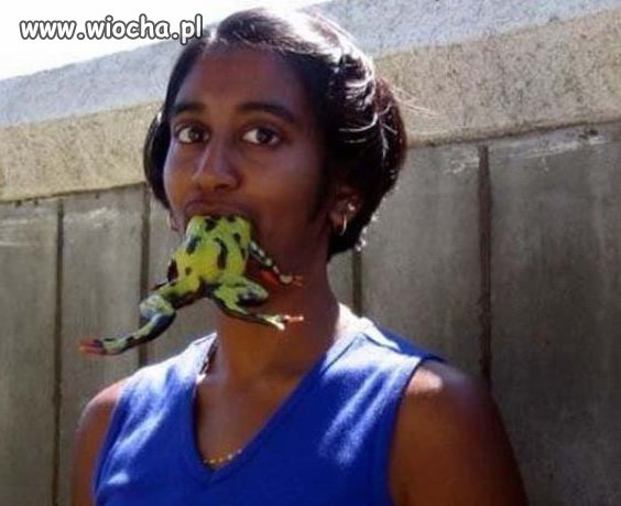 Crazy Frog