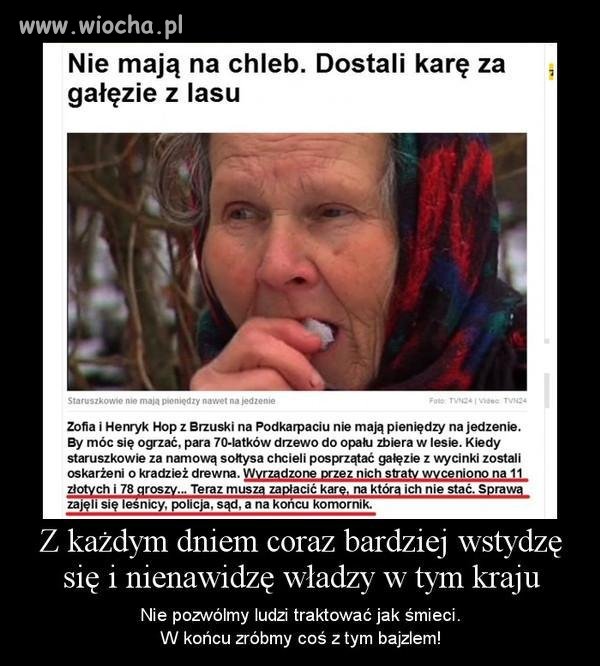 Brawo dla Naszych władz!!!