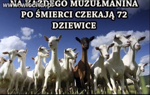 Na każdego muzułmanina po śmierci