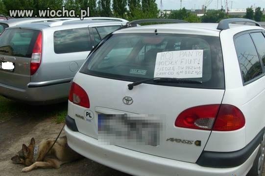Zdjęcie zrobione w Szczecinie na TTSR 6 Sierpnia 