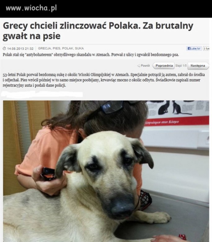 Porwał z ulicy i zgwałcił psa
