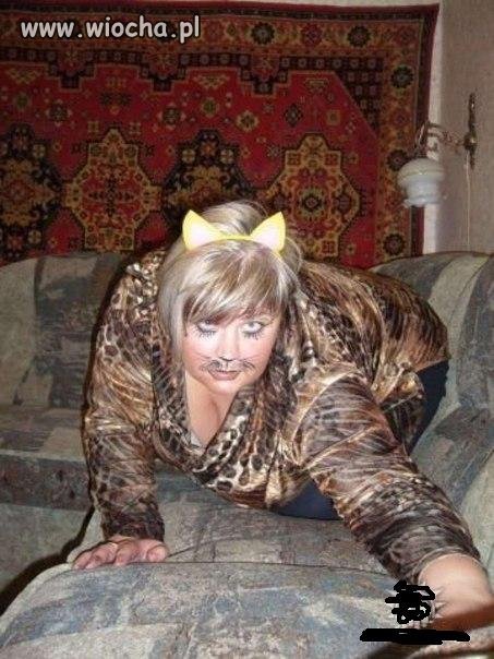 Sexi kicia 