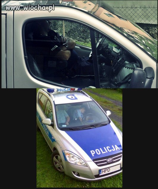 Ta ich ciężka praca...