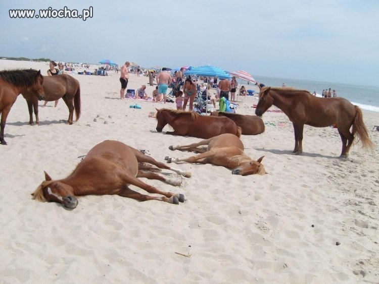 Tymczasem na plaży