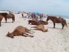 Tymczasem na plaży