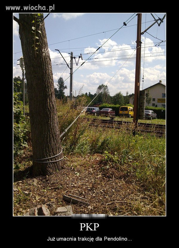 PKP już umacnia trakcję dla Pendolino 