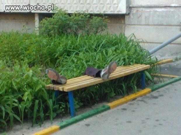 Agroturystyka w mieście