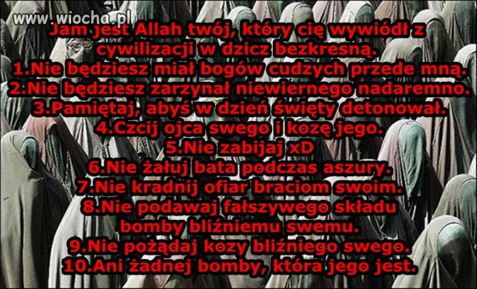 Dekalog ciapatego.