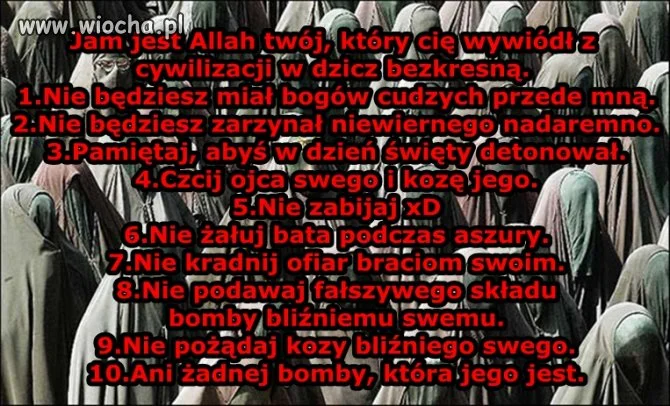 Dekalog ciapatego.