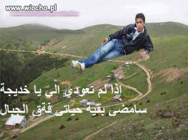 Arabski król painta