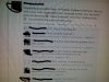Opiekunka dzieci na kolonii