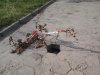 Strażnicy miejscy tak zabezpieczyli dziurę w jezdni