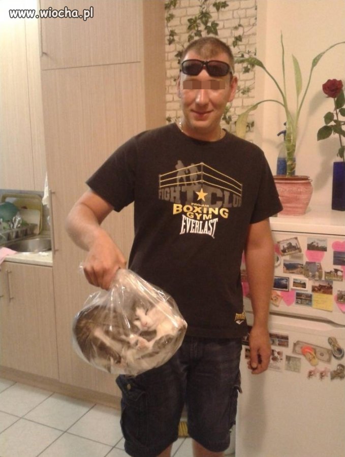 Koleś znęca się nad kotem