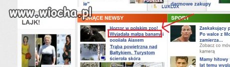 Wyjadała "małpą" banany.