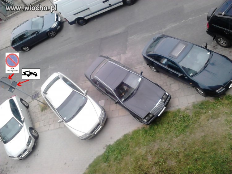 Polak to potrafi zaparkować