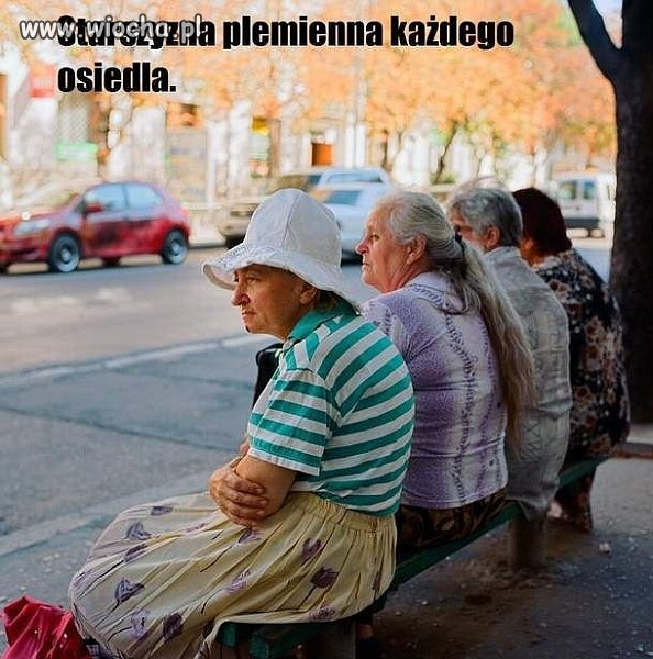 Obsservatorio rydzyko