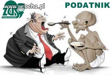 Świnie chcą jeść 