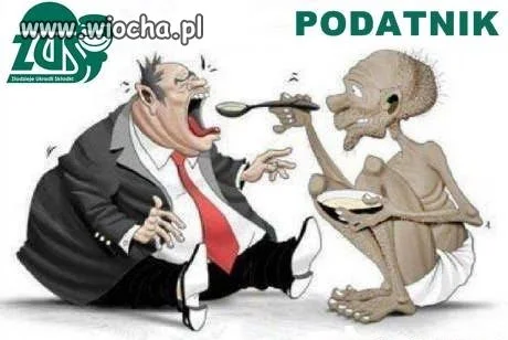 Świnie chcą jeść 