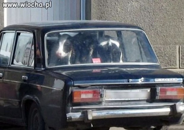 Lada...
