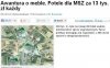 MSZ wydało 300 tyś. na 28 foteli.