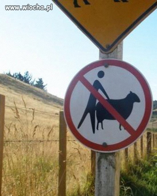 Hmmm