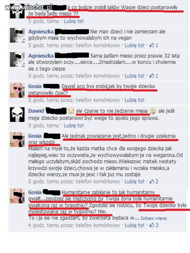 Kiedy zapytałem Wegetarian