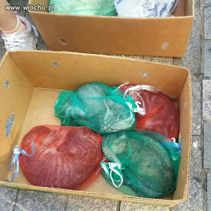 Tymczasem na bazarze