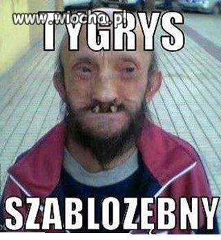 Nowy gatunek...