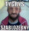 Nowy gatunek...