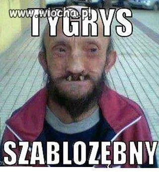 Nowy gatunek...