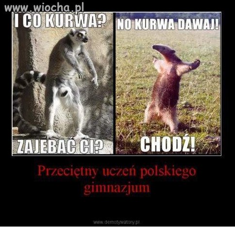 Do wszystkich gimbusów...