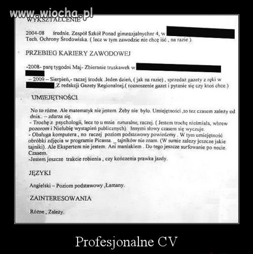 Profesjonalne CV.