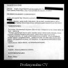 Profesjonalne CV.