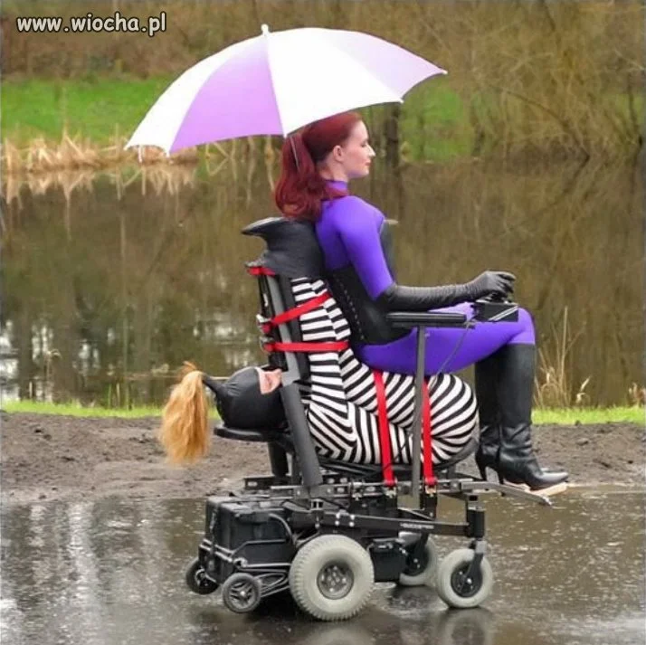 WTF??