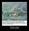 Polskie drogi