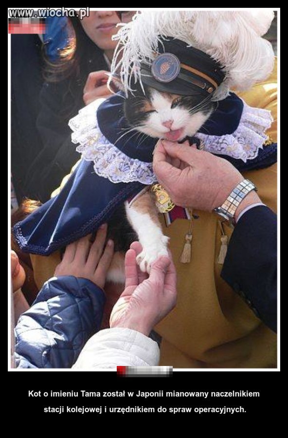 Japonia