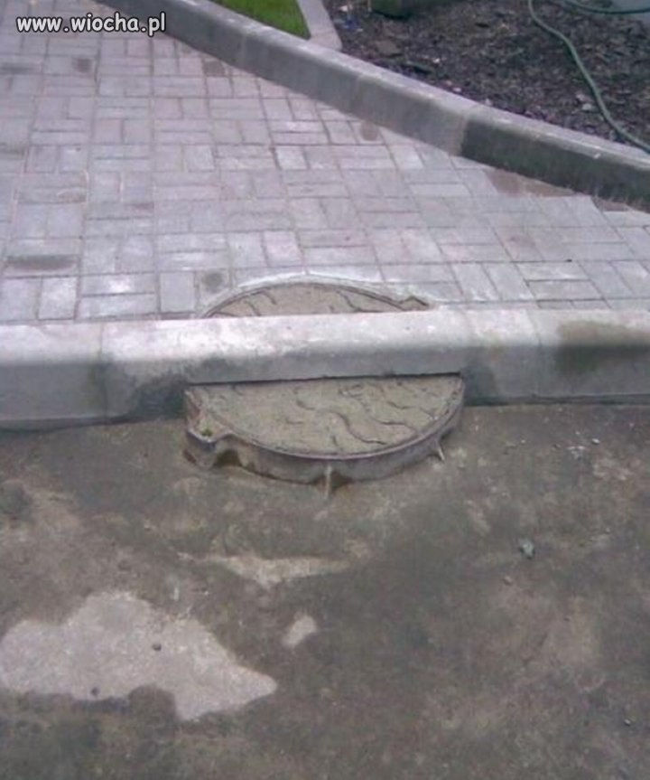 Polak potrafi