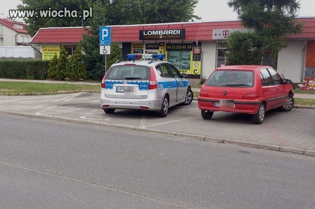 Karnego kaktusa na szybe