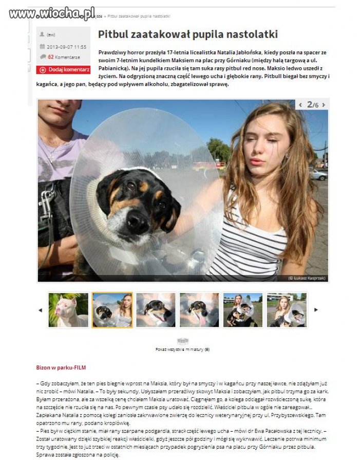 Pitbule
