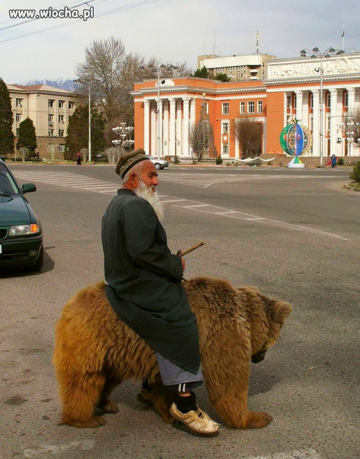Mi tam niestraszne 