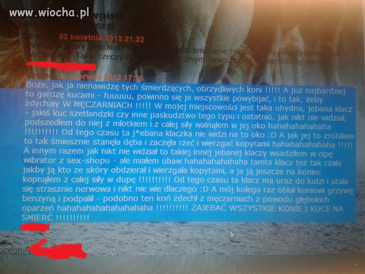 Znalezione na blogu o koniach...