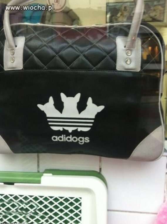Adidogs...